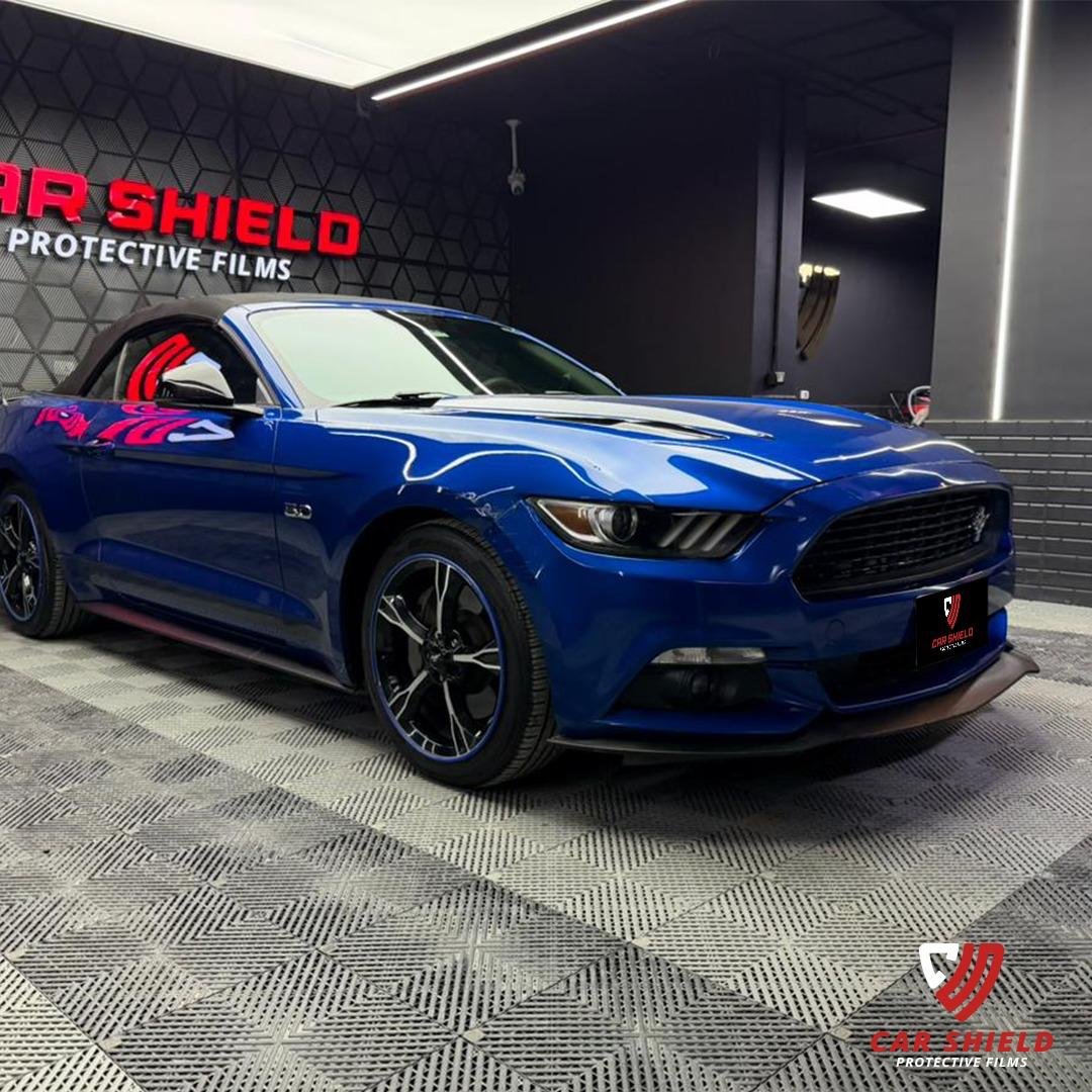 Car Shield Work